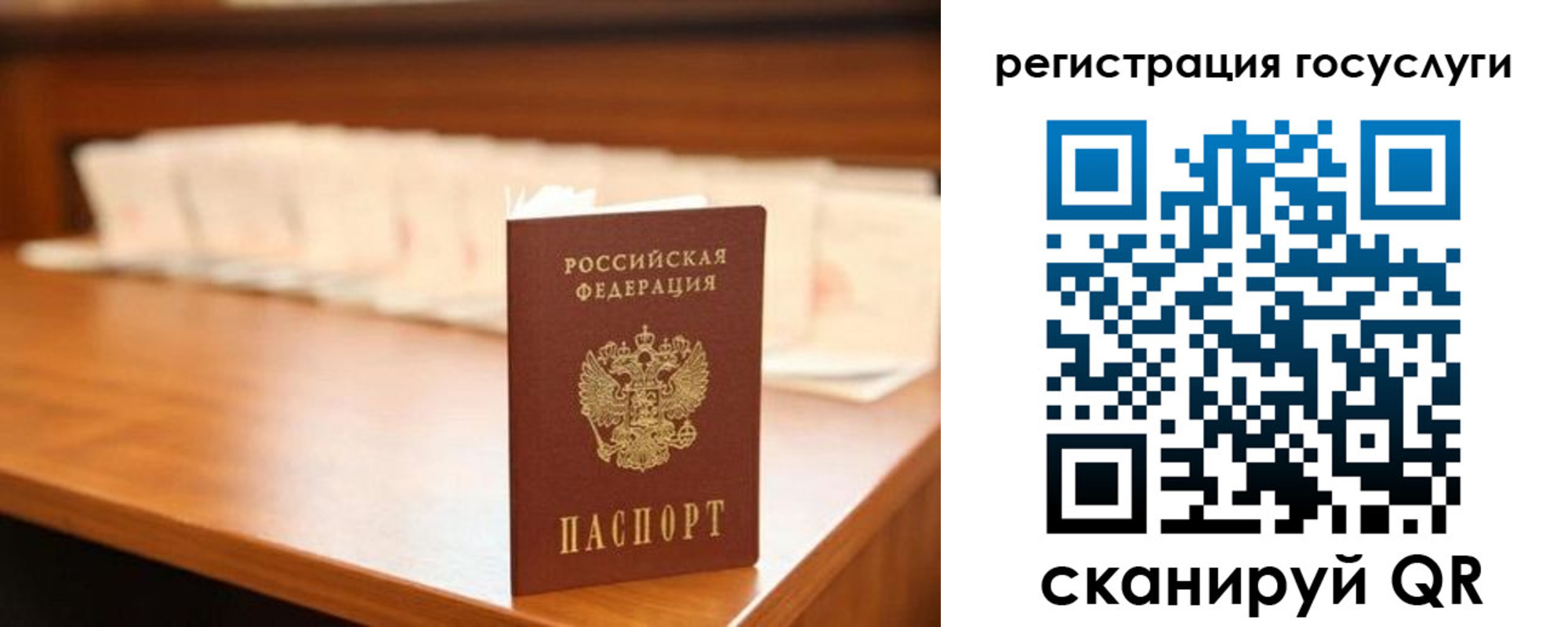 пропишу в квартире в Камышине